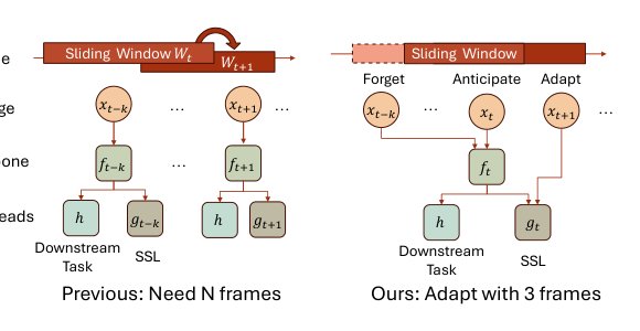 Forget, Anticipate and Adapt: Test Time Training for Long Videos Figure 1