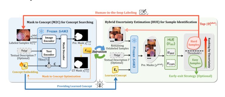 Mask to Concept: Auto-Promptable SAM3 via Efficient Test-Time Concept Embedding Search for Few-Shot Annotation Figure 1