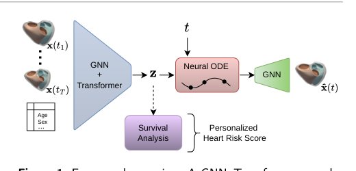 A Latent ODE Approach to Spatiotemporal Modeling of Cine Cardiac MRI Figure 1