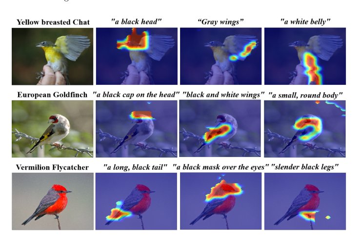 Bridging Vision and Language Concepts through Optimal Transport Semantic Flow Figure 1