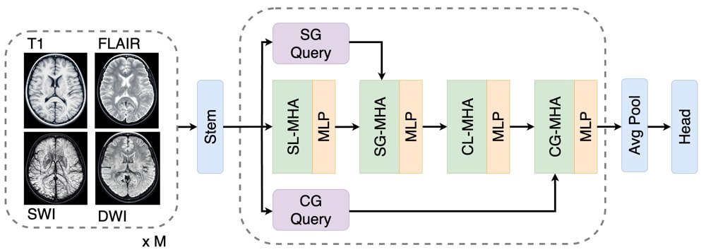 Modeling Local, Global, and Cross-Modal Context in Multimodal 3D MRI Figure 1
