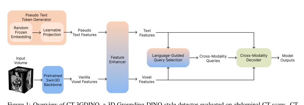 Pseudo-Text-Conditioned 3D Grounding DINO for Organ Localization in Abdominal CT Figure 1