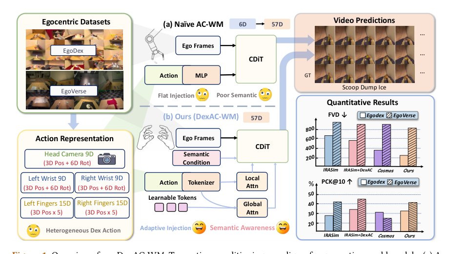 Not All Actions Are Equal: Rethinking Conditioning for Dexterous World Model Figure 1