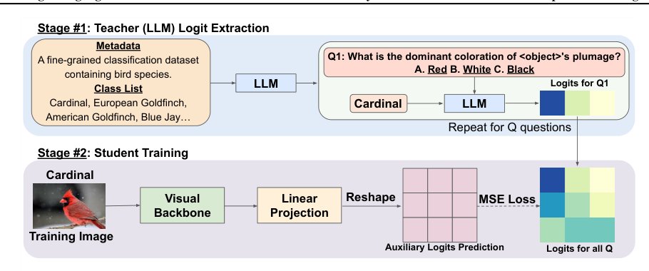 Large Language Model Teaches Visual Students: Cross-Modality Transfer of Fine-Grained Conceptual Knowledge Figure 1