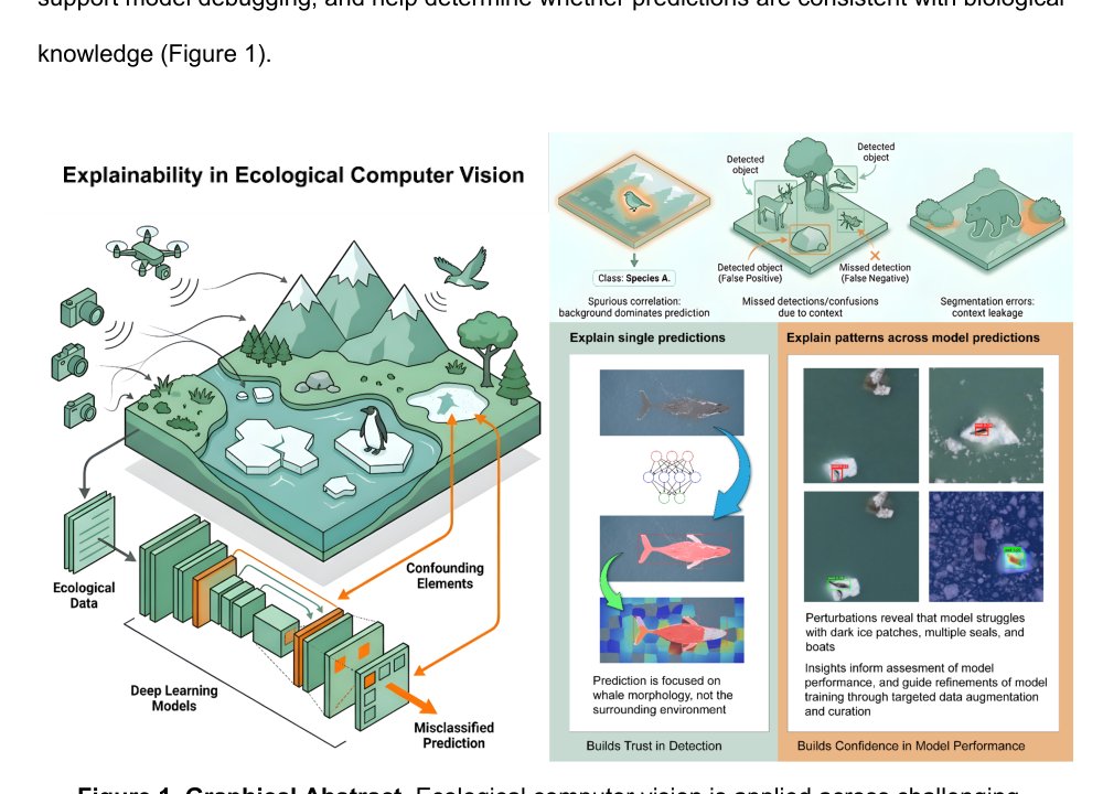 Explainable AI for Biodiversity Monitoring and Ecological Image Analysis Figure 1