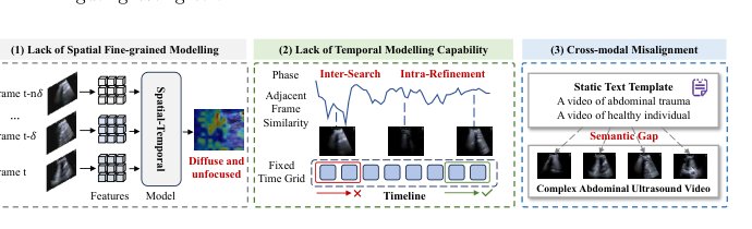 TRUST: Efficient Abdominal Trauma Recognition via Image-to-Ultrasound-Video Transfer Learning Figure 1