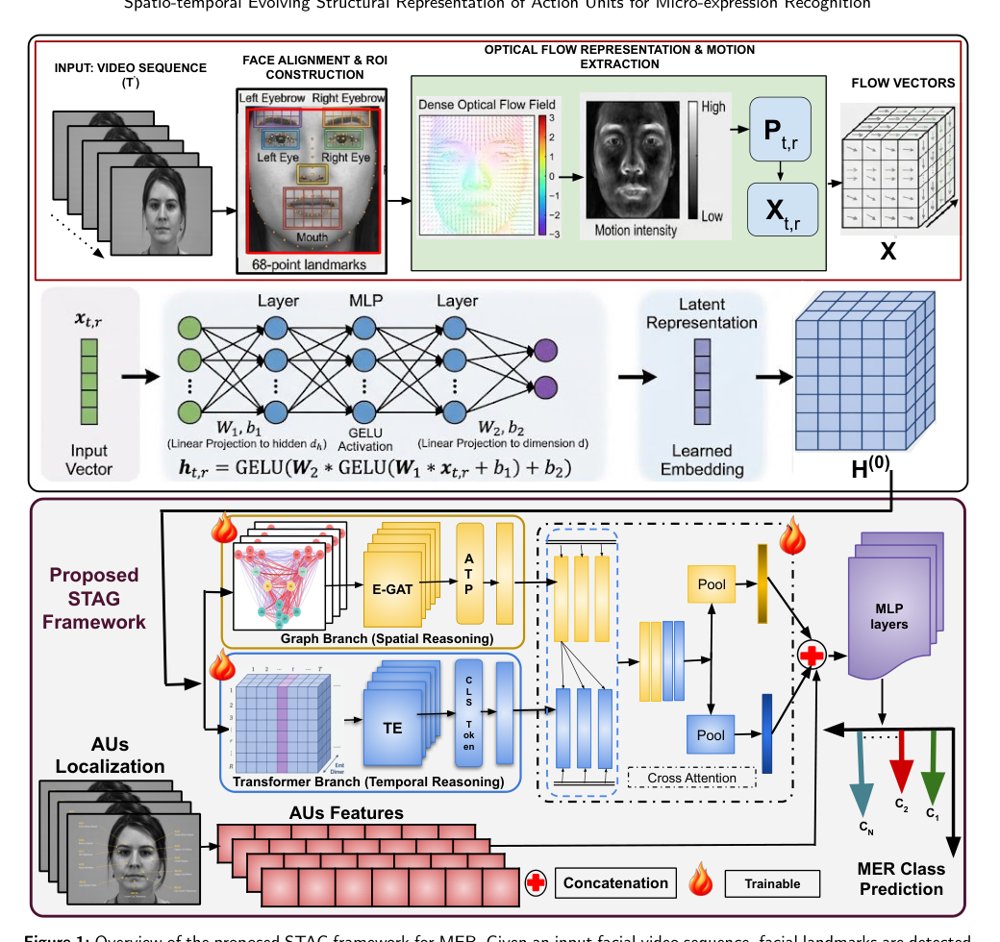STAG: Spatio-temporal Evolving Structural Representation of Action Units for Micro-expression Recognition Figure 1