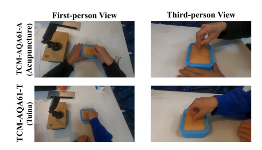Cross-view Multimodal Vision-Based Assessment Framework for Traditional Chinese Medicine Rehabilitation Training Figure 1
