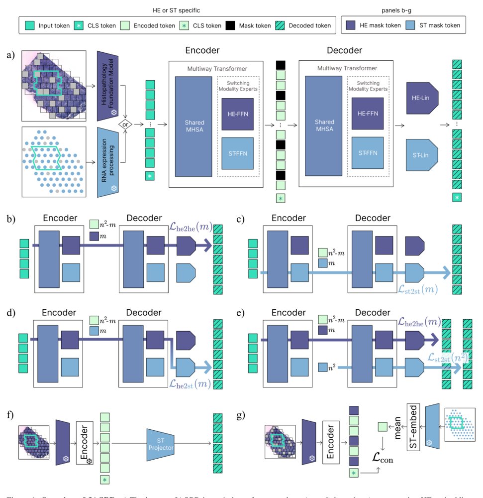 JASPR: Joint Spatial Representation learning of histology and spatial genomics for improved virtual genomic screening and clinical prognostication Figure 1