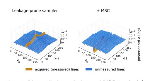 Measured-Subspace Consistency: A Plug-and-Play Operator for Diffusion Posterior Sampling in Accelerated MRI Reconstruction Figure 1