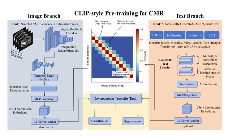 Learning from Acquisition: Metadata-driven Multimodal Pre-training for Cardiac MRI Figure 1