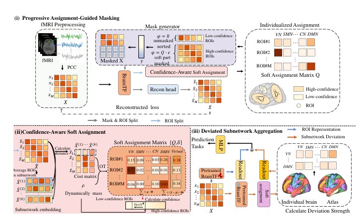 Progressive Self-Supervised Learning with Individualized Community Assignment for Brain Network Analysis Figure 1