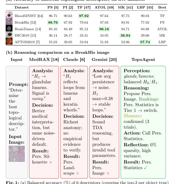 TopoAgent: An Agentic Framework for Automated Topology Learning in Medical Imaging Figure 1