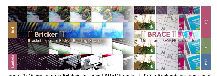 Bricker to BRACE: A Bracket Exposure RAW Dataset and Restoration Model for Flicker-Banding Figure 1