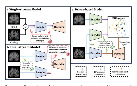 DrivenMorph: Bridging Attention Mechanism and Variational Image Registration via Difference Modeling Figure 1