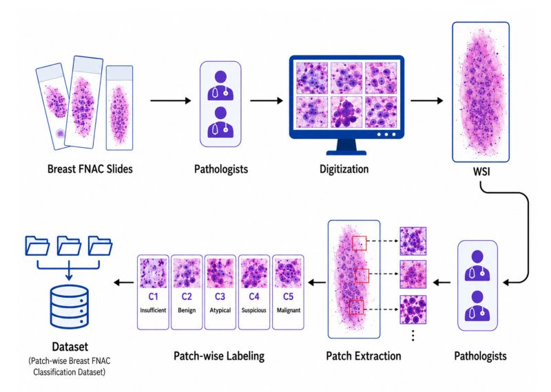 A Multi Center Breast FNAC Whole-Slide Cytology Dataset for AI-Assisted Patch-Wise Classification Using C1 to C5 Reporting Categories Figure 1