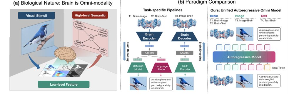 BrainJanus: A Unified Model for Understanding and Generation across Brain, Vision, and Language Figure 1