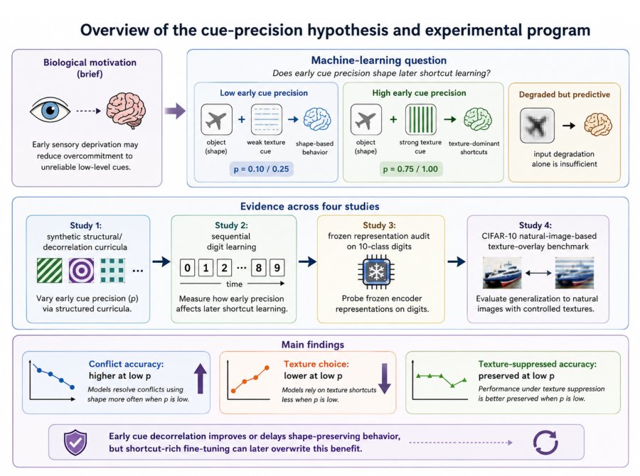 Early Cue Precision Shapes Visual Shortcut Learning in Controlled Cue-Manipulation Benchmarks Figure 1
