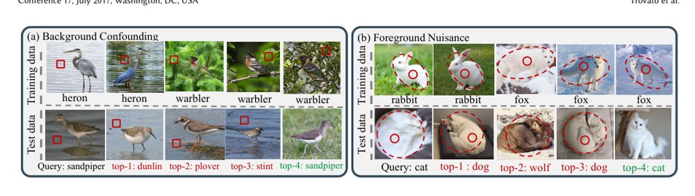 CouCE: A Unified Causal Framework for Debiased Deep Metric Learning Figure 1