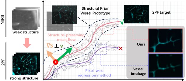 Do Not Break the Vessels: Structure-Preserving Mean Flow for Vascular Image Translation Figure 1