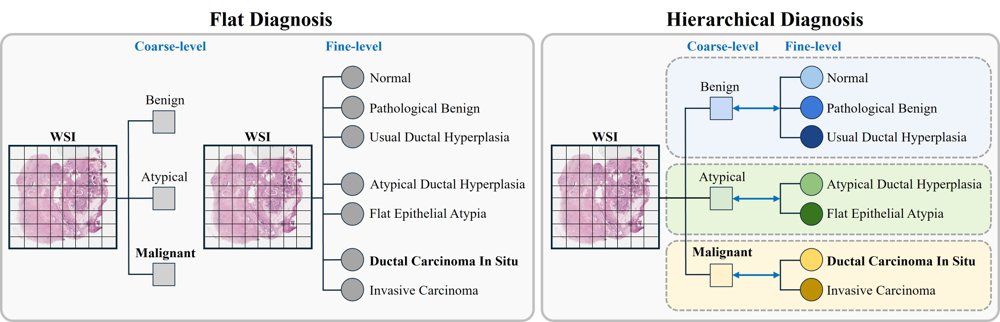 TaxoMIL: Taxonomy-Constrained Learning for Hierarchical Whole Slide Image Analysis Figure 1