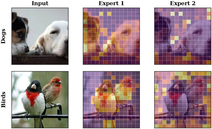 ExPLoRe: Expert Patch-Level Loss Routing for Multi-Objective Masked Image Modeling Figure 1