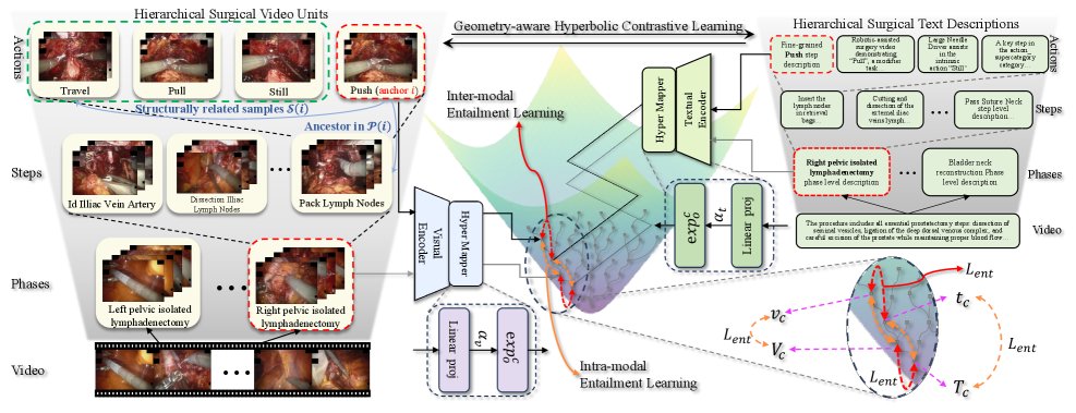 HyperVLP: Enhancing Hierarchical Surgical Video-Language Pre-training in Hyperbolic Space Figure 1