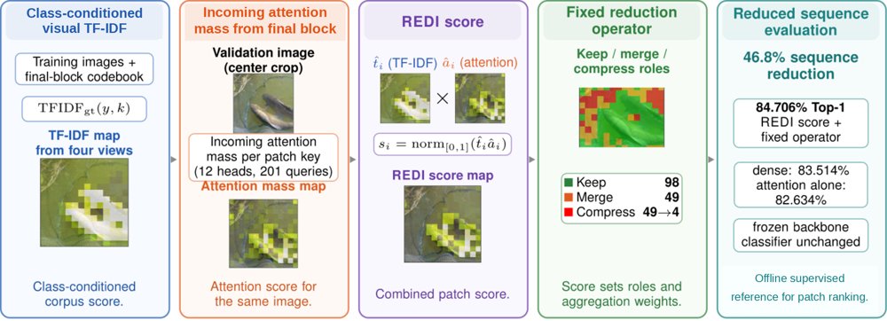 REDI: Corpus Aware Patch Ranking for DINOv3 Token Reduction Figure 1