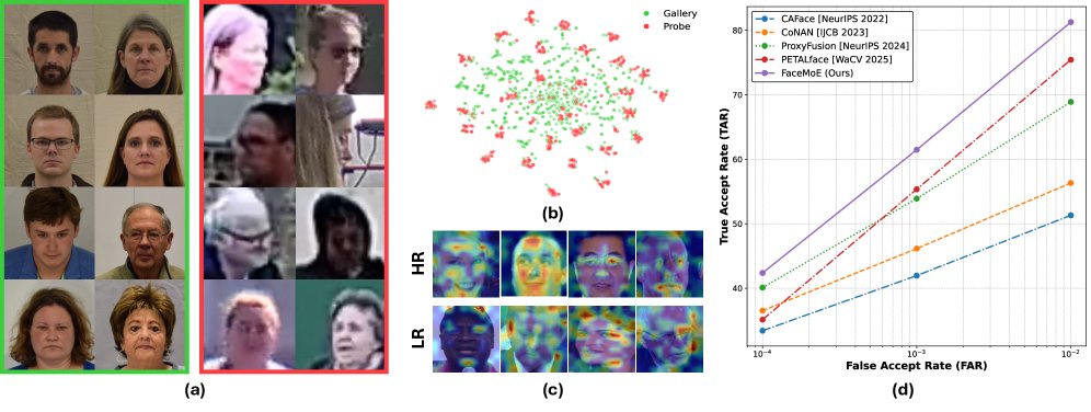 FaceMoE: Mixture of Experts for Low-Resolution Face Recognition Figure 1