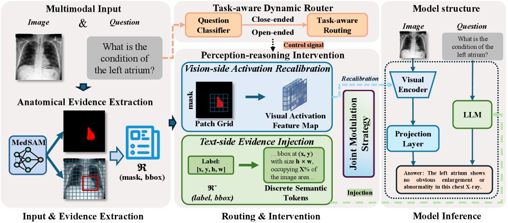 Synergistic Perception-Reasoning Governance: Grounding Medical MLLMs with Verifiable Anatomical Evidence Figure 1