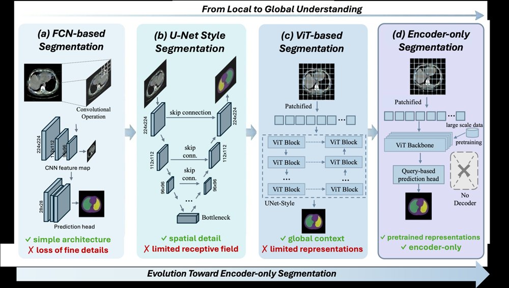 Does Your ViT Still Need U-Net for Segmentation? Figure 1