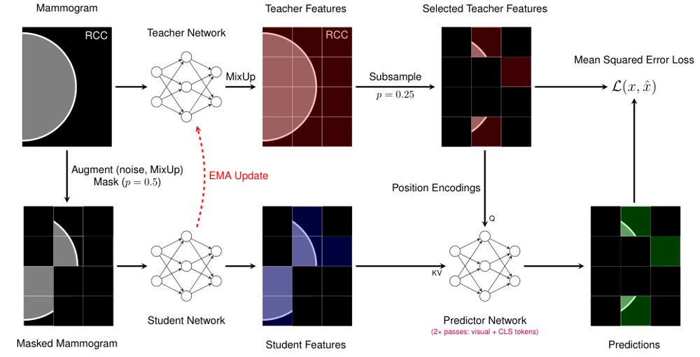 AEGIS: A Multi-Task Joint-Embedding Predictive Architecture for Mammography Figure 1