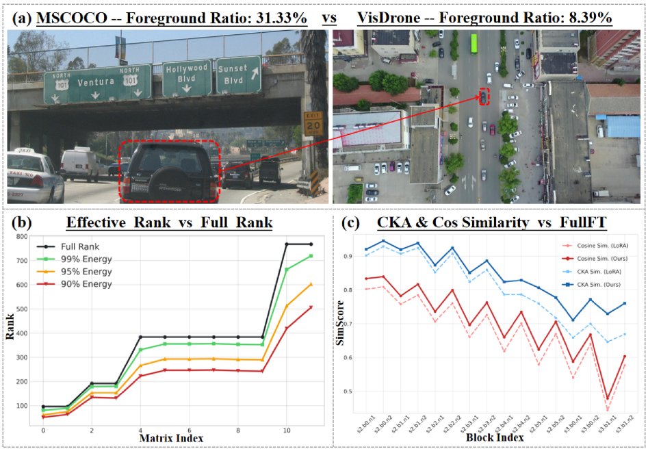 DroneFINE: Domain-Aware Parameter-Efficient Fine-Tuning of Vision-Language Detectors for Drone Images Figure 1