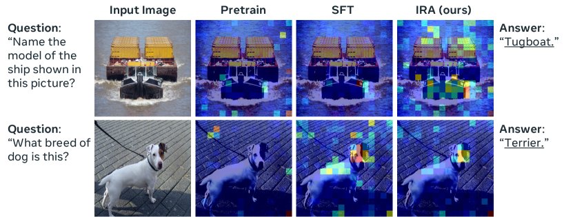 Information-Regularized Attention for Visual-Centric Reasoning Figure 1
