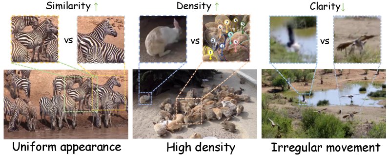 HieDG: A Hierarchical Discrete Geometry-Guided Framework for Multi-Animal Tracking Figure 1