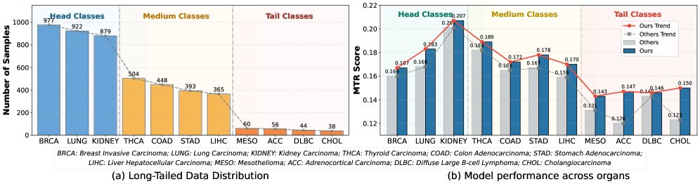 Prior-Anchored Debiasing for Long-Tailed Multi-Organ Pathology Report Generation Figure 1