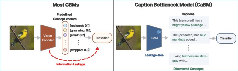 Caption Bottleneck Models Figure 1