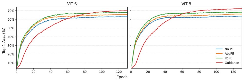 Active Spatial Guidance: Eliminating Injected Positional Mechanisms in Vision Transformers Figure 1