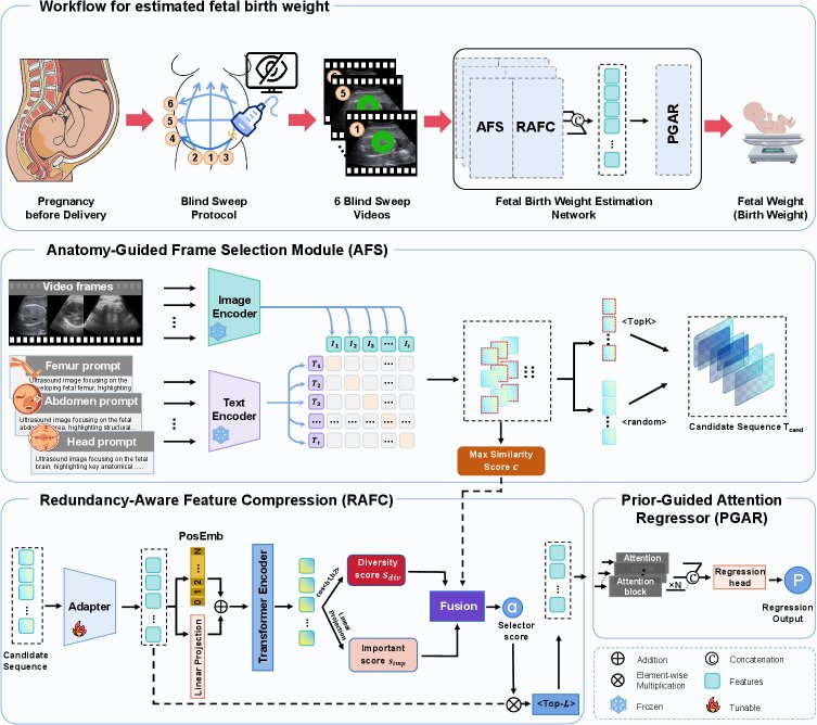 Foundation Model-driven Key Anatomy Frame Selection for Blind-sweep Ultrasound Fetal Birth Weight Estimation Figure 1