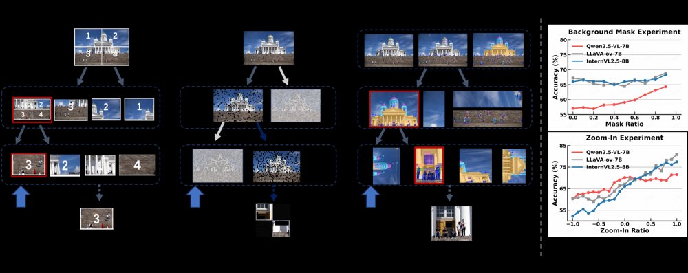 Towards High-Resolution Visual Perception via Hierarchical Entity Exploration Figure 1