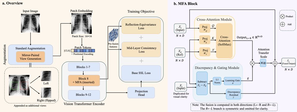 Mirror-Fusion Attention for Reflection-Aware Self-Supervised Representation Learning Figure 1