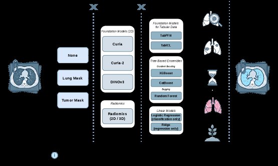 Foundation Models vs. Radiomics for Lung Computed Tomography: A Benchmark of Feature Extractors, Classification Heads, and Segmentation Choices Figure 1