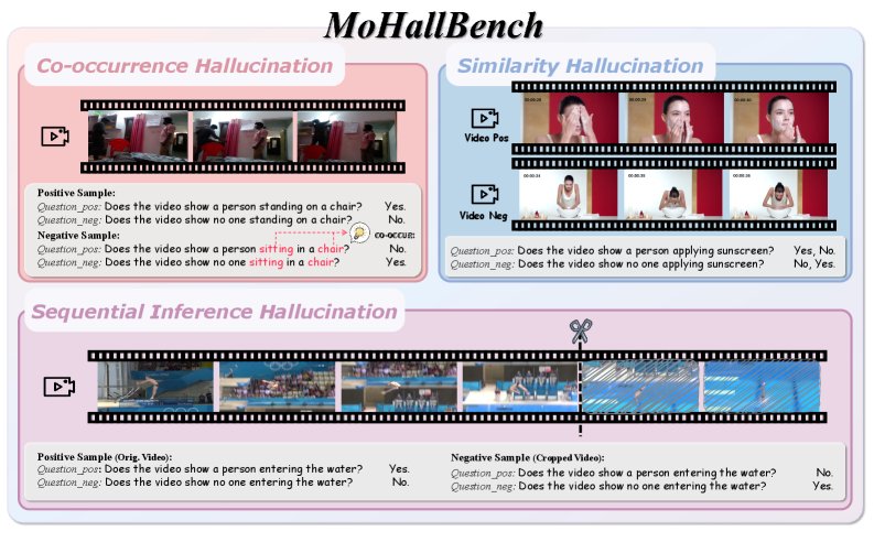 MoHallBench: A Benchmark for Motion Hallucination in Video Large Language Models Figure 1