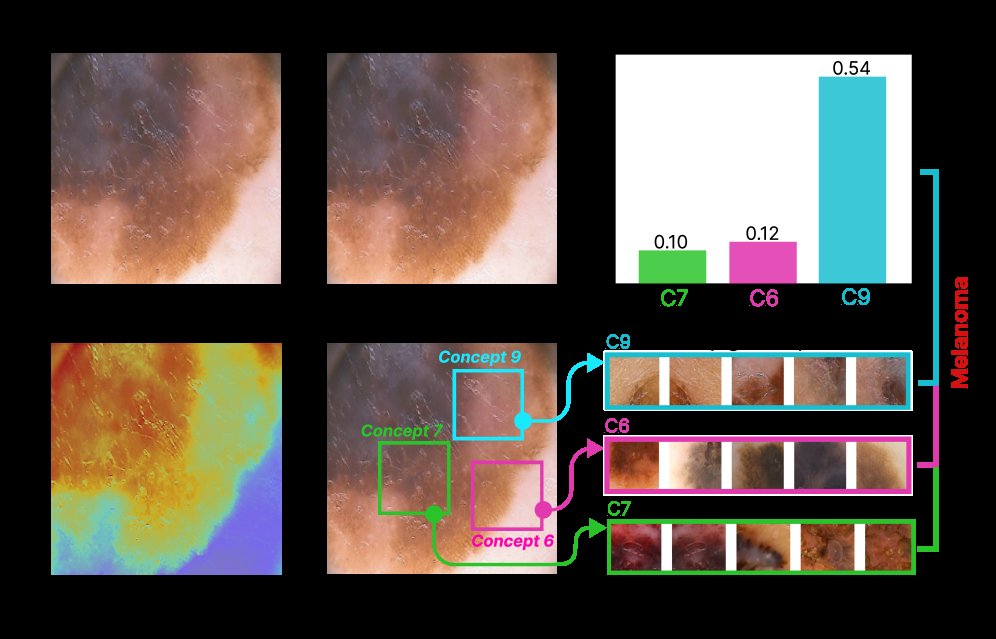Beyond Heatmaps: Unsupervised Concept-Graph Reasoning for Interpretable Visual Explanation Figure 1