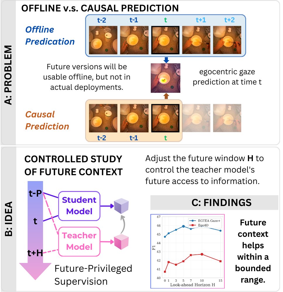 How Much Future Helps? A Controlled Study of Future-Privileged Supervision for Causal Egocentric Gaze Estimation Figure 1