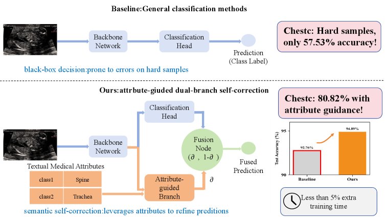 Boosting Ultrasound Image Classification via Attribute-Guided Dual-Branch Framework Figure 1