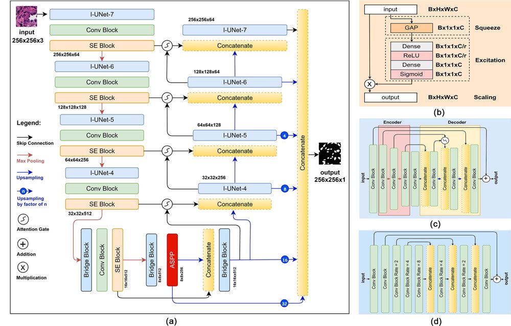 HistoSeg++: Delving deeper with attention and multiscale feature fusion for biomarker segmentation Figure 1