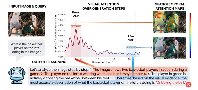LASER: A Corrective Lens for LVLMs via Visual Attention Preservation and Sink Suppression Figure 1