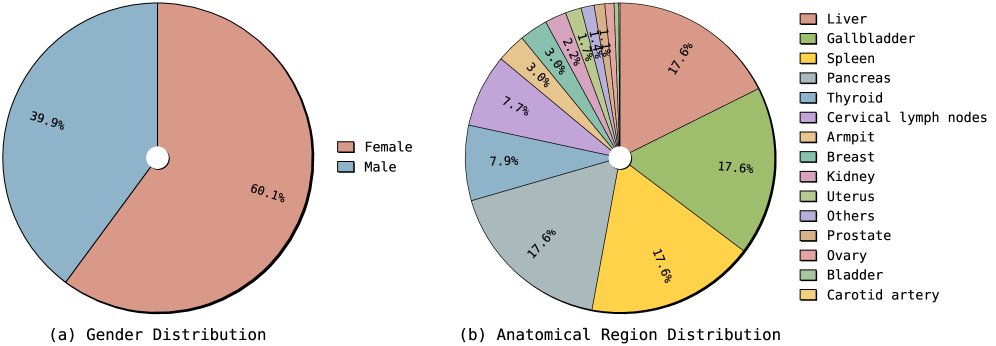 Towards Real-World Ultrasound Understanding: Large Vision-Language Models from Multi-Image Examinations with Long-Form Reports Figure 1