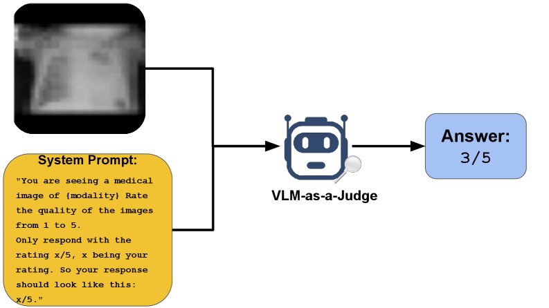 Assessing VLM Reliability for Medical Image Quality Evaluation Under Corruption and Bias Figure 1